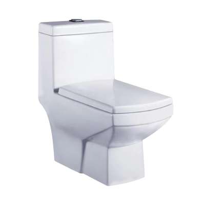 Bathroom Ceramic Washdown Dual Flush One Piece Compound Toilet, large size closet, washdown, cheap